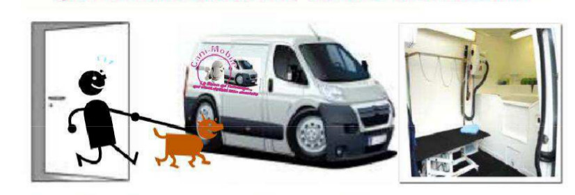 toilettage mobile à Melun Sénart près de Vaux le pénil